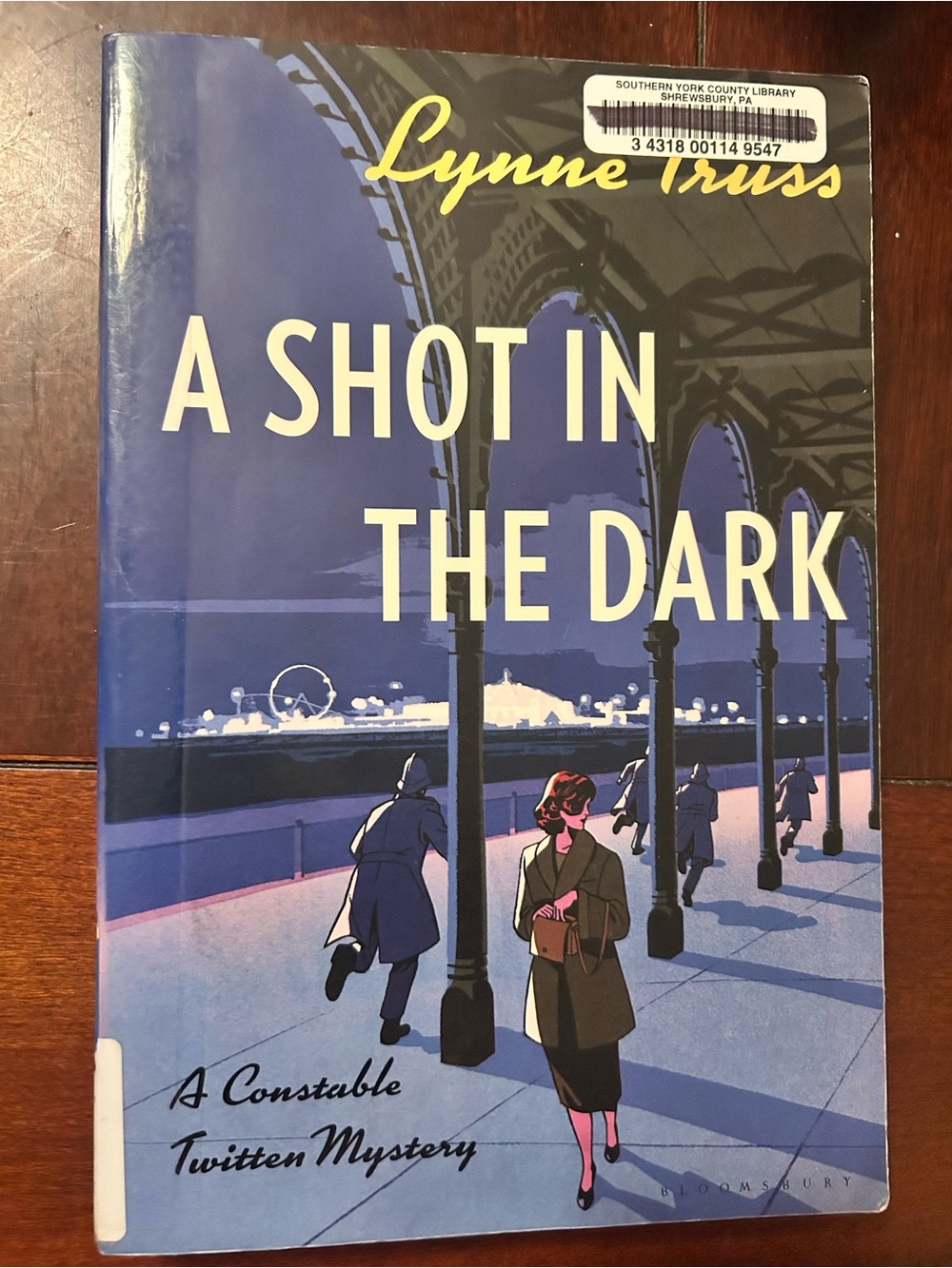 A Shot in the Dark by Lynne Truss - Illustrated Mystery Hardcover